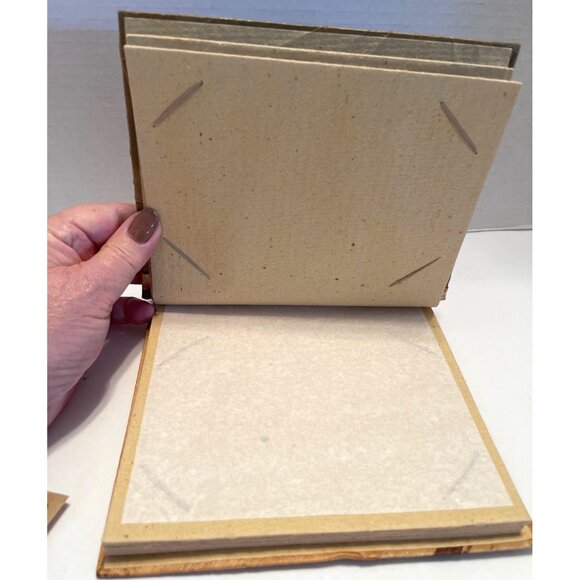 Indonesia Asia Natural Leaf Photo Picture Album Africa Zebra Rustic Handcrafted - Picture 6 of 11